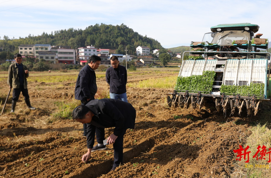 衡山：机械移栽助力油菜增产增效