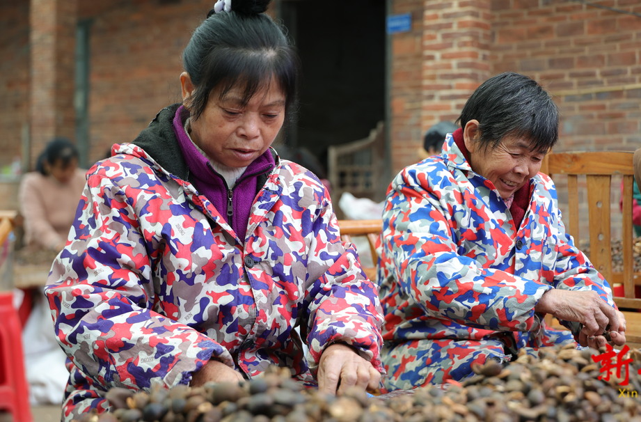 衡山：油茶实用技术培训 助力产业提质增效