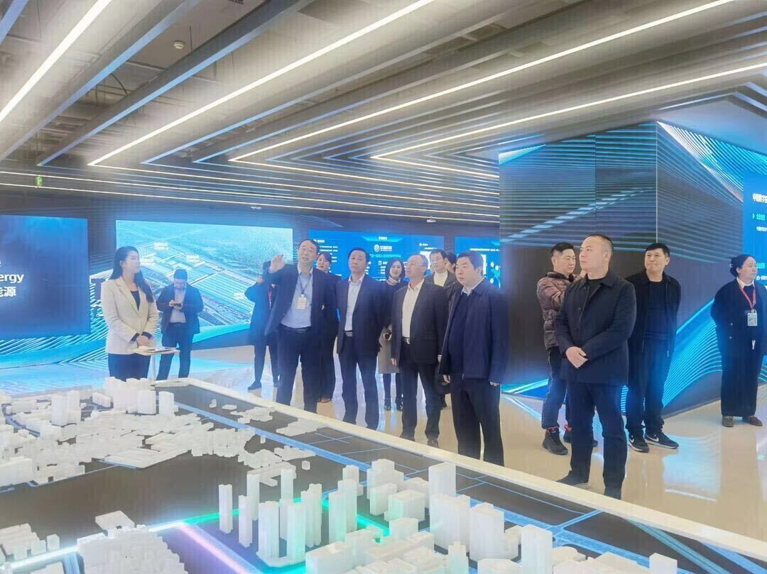戴新贤带队赴软通动力信息技术（集团）股份公司招商考察