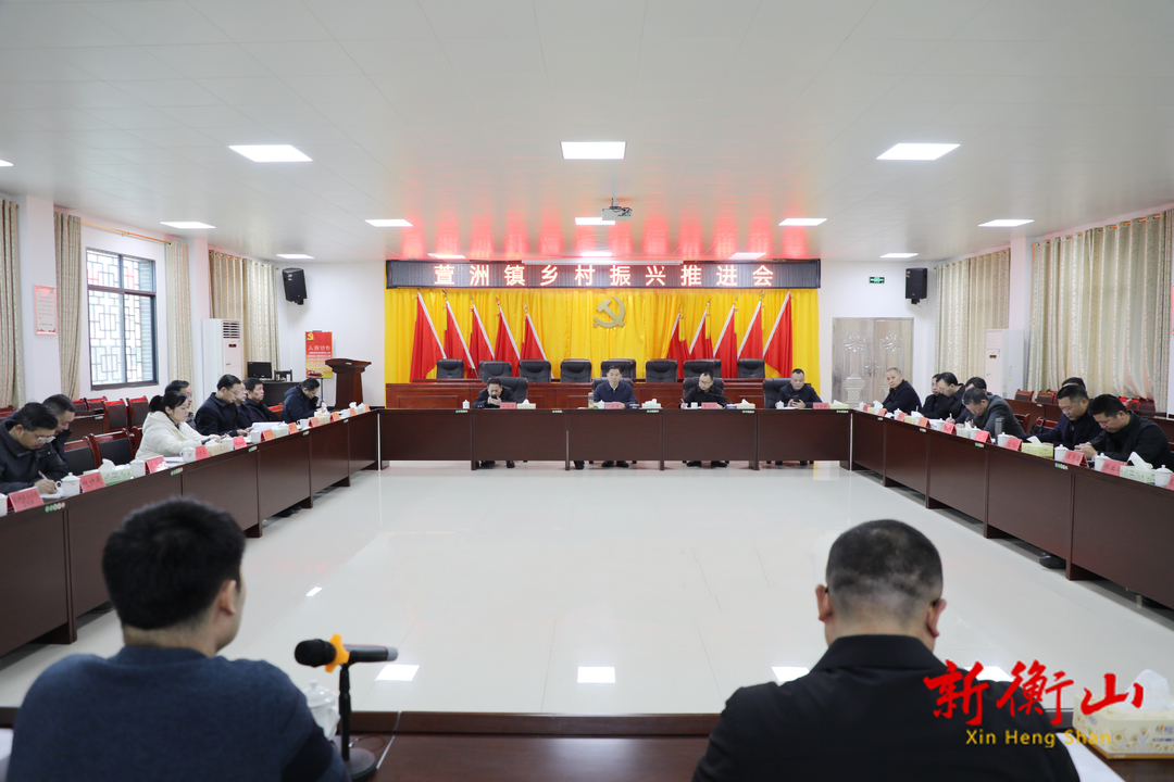 段晓赛调度萱洲镇乡村振兴工作