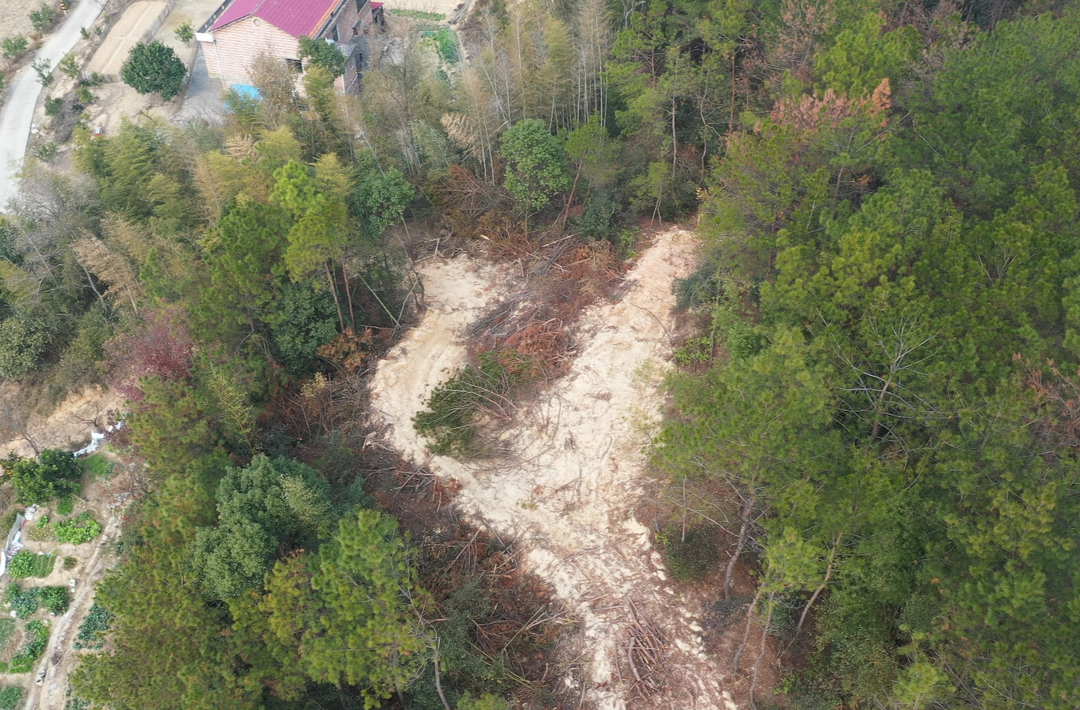 百余棵树木被非法砍伐 衡山公安破获一起滥伐林木案