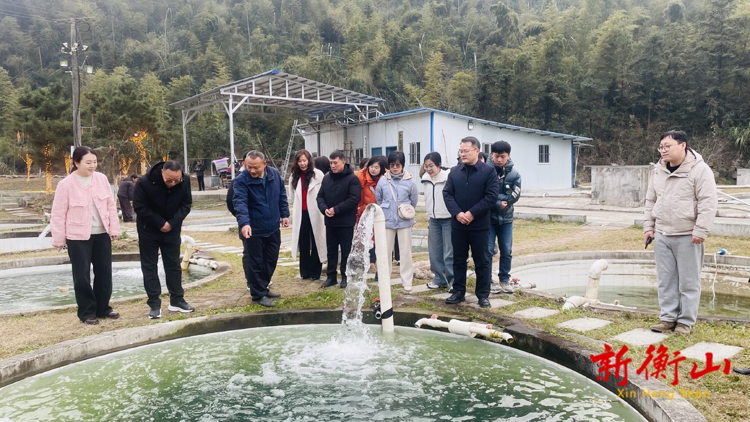 衡山县开展高层次人才调研文旅产业和乡村振兴活动