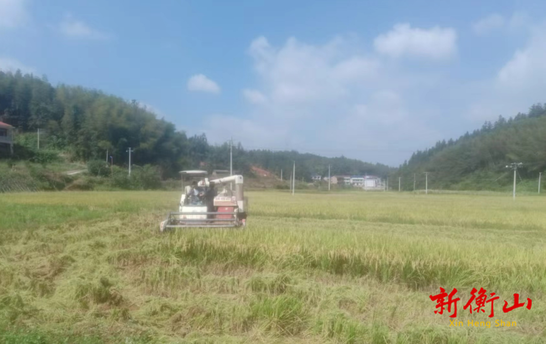 东湖镇财政所助力团山村集体经济发展