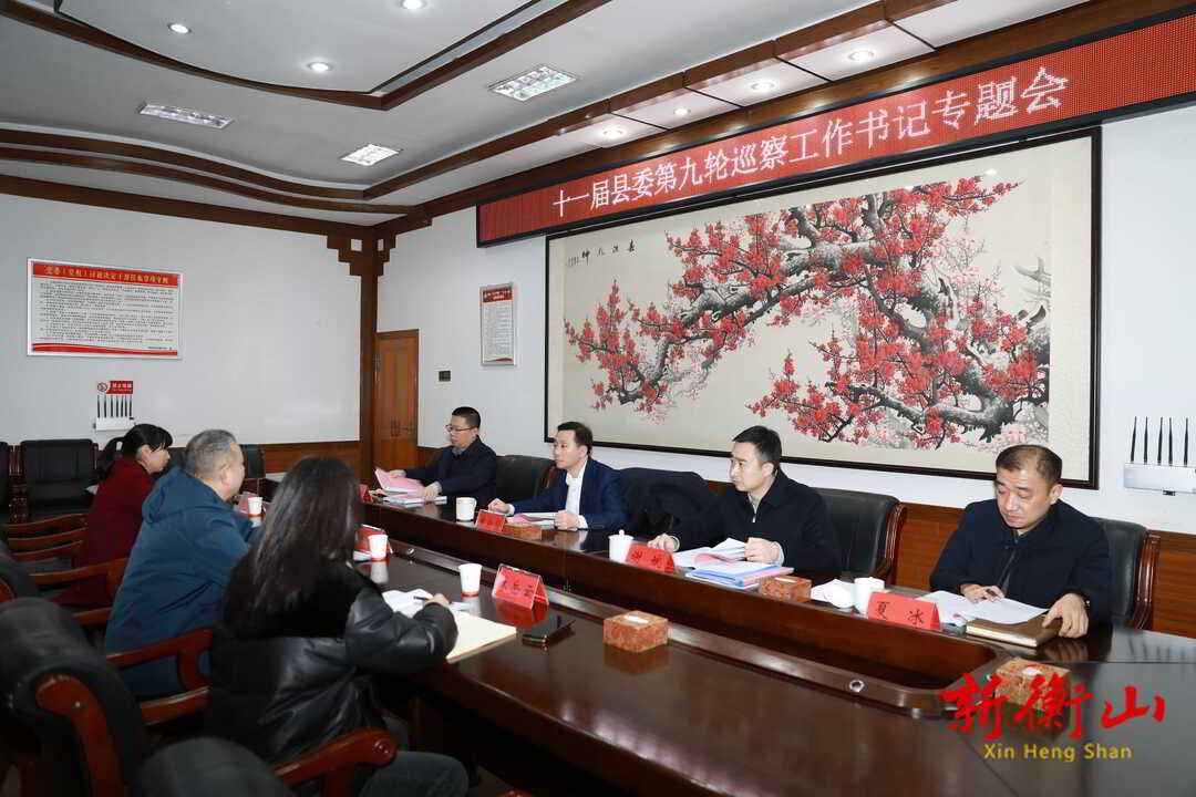 戴新贤在十一届县委第九轮巡察工作书记专题会上强调 要更好发挥巡察利剑作用 精准开展“政治体检”