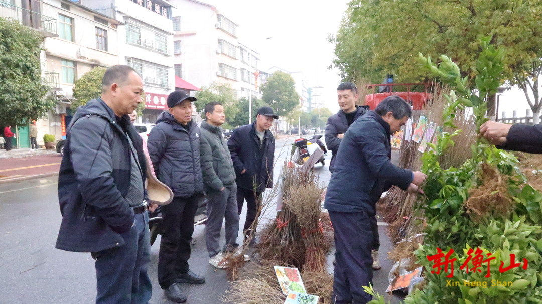 【人勤春来早】  衡山：栽“绿”正当时 苗木市场销售旺