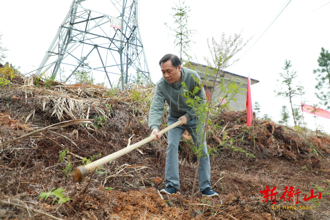 衡山县开展2025年义务植树活动