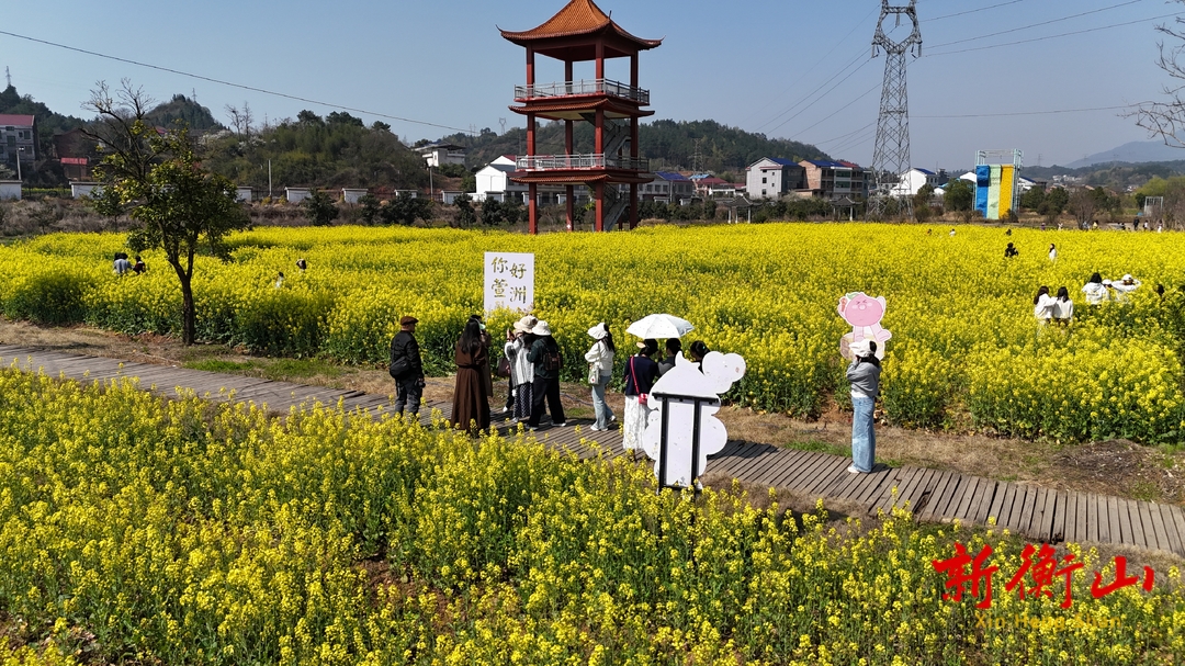 衡山：赏花摘野菜 感受田园大美春光
