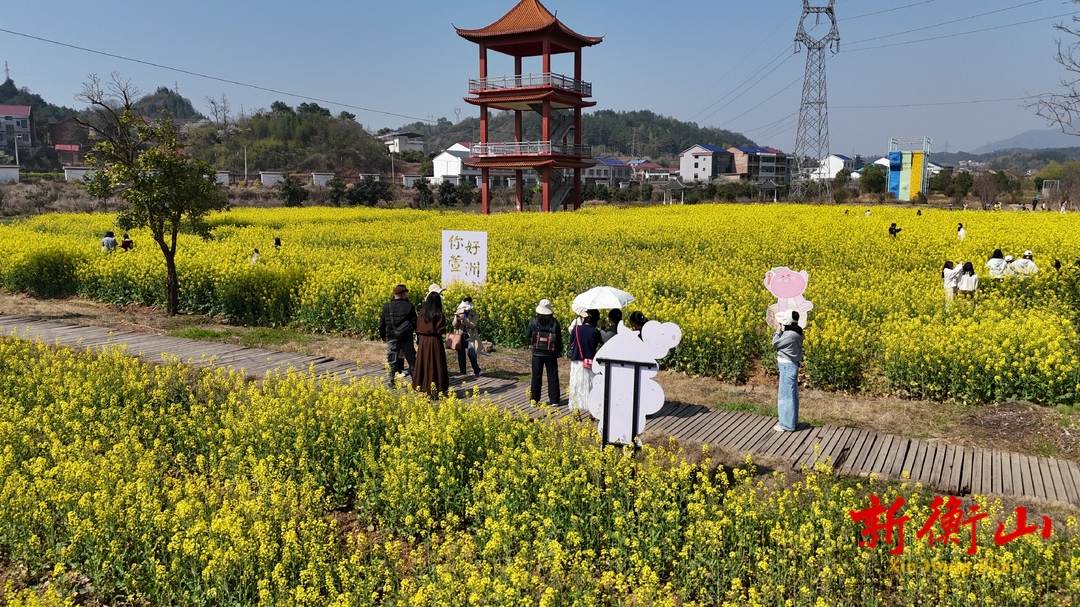 衡山县：油菜花开美不胜收 金色仙境等你来打卡