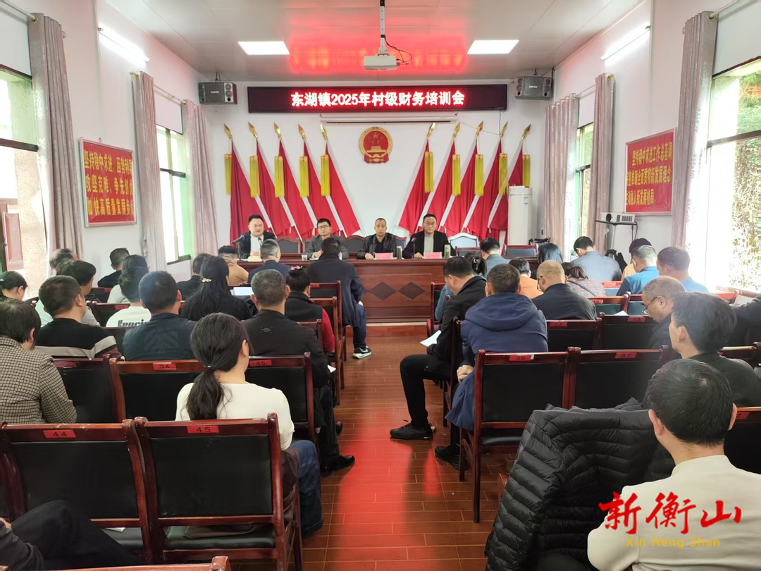 东湖镇召开2025年村级财务规范化培训会   ——聚焦乡村振兴，筑牢财务“防火墙”