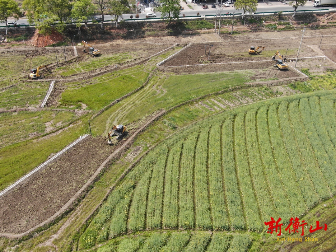 店門鎮(zhèn)：高標準農田建設如火如荼