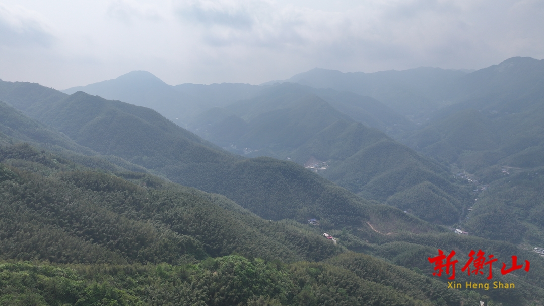 東湖鎮(zhèn)大馬山：邂逅青山翠影 沉醉天然氧吧