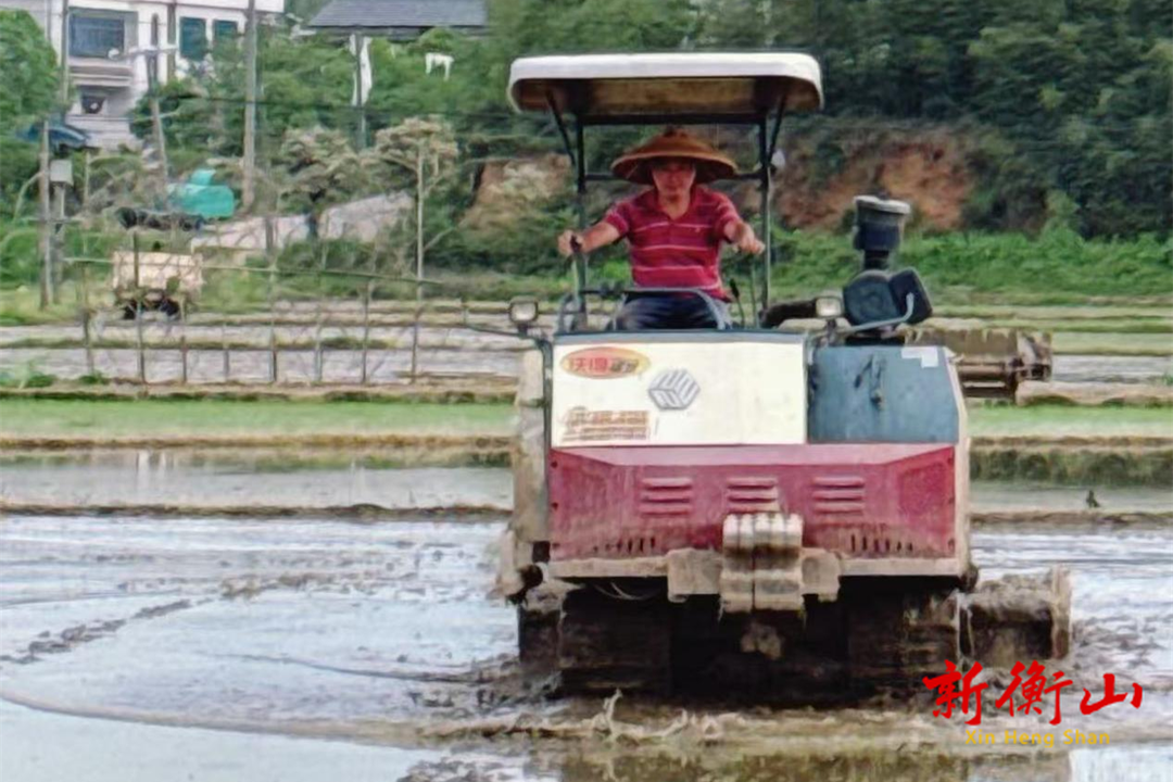 江东乡南坪村：春耕生产有序推进