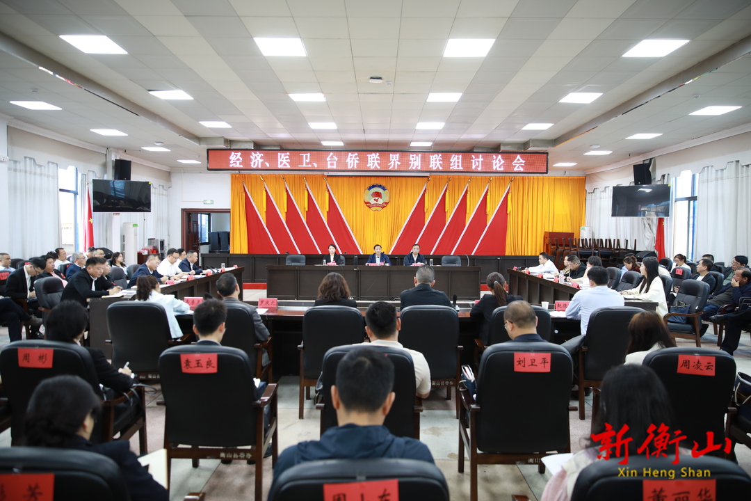戴新贤、唐年初参加经济、医卫、台侨联界别联组讨论