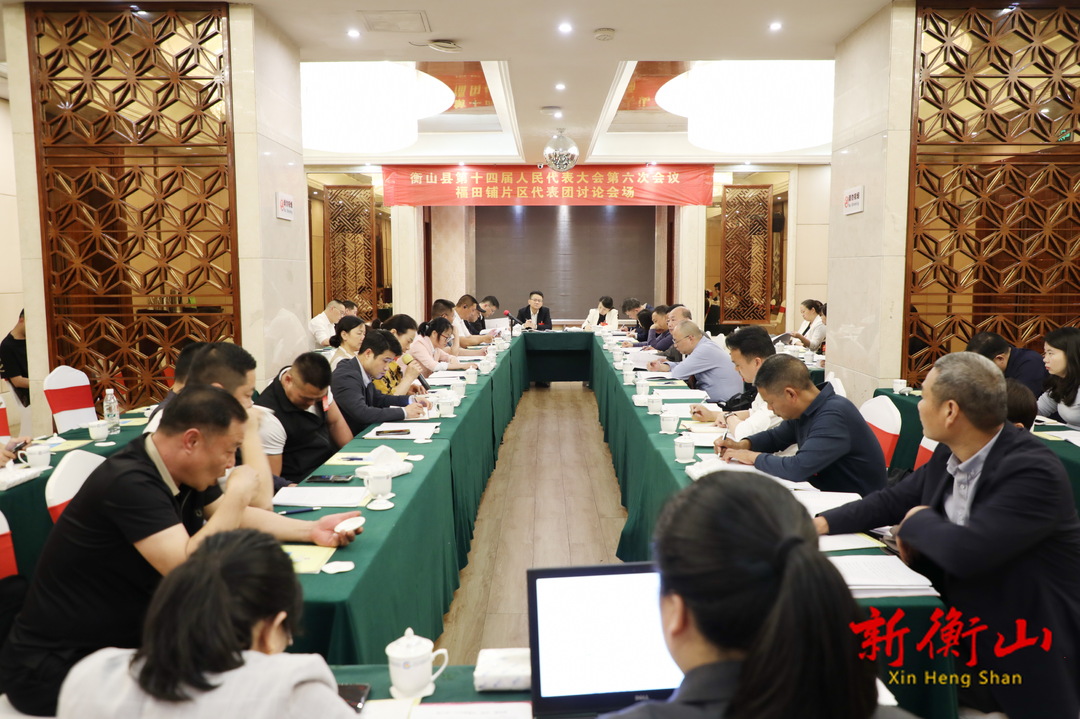 县人大代表分团审议政府工作报告