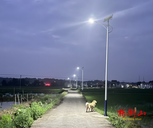 小路灯大民生 照亮乡村振兴路