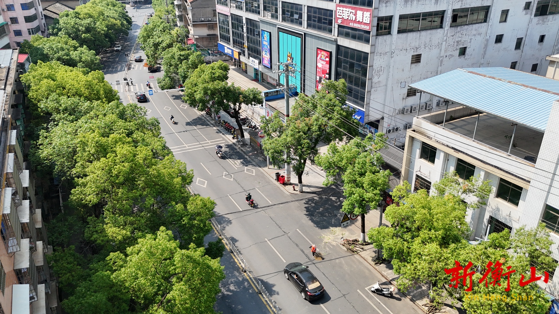 县园林绿化所：行道树修剪“增亮”道路