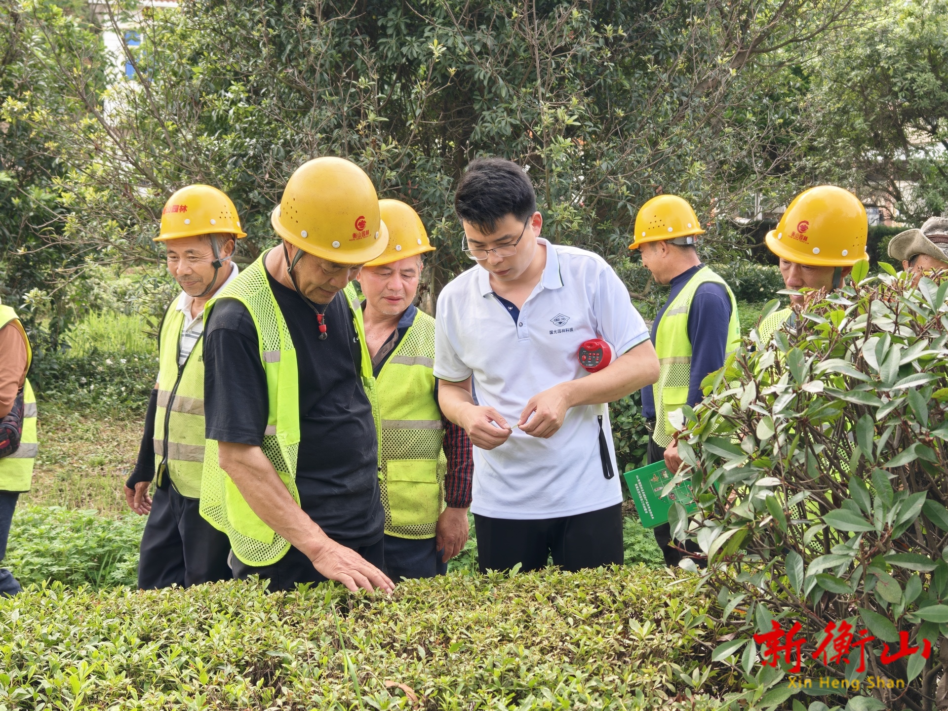县园林绿化所：园林专家“传经送宝”，一线绿化技能再提升