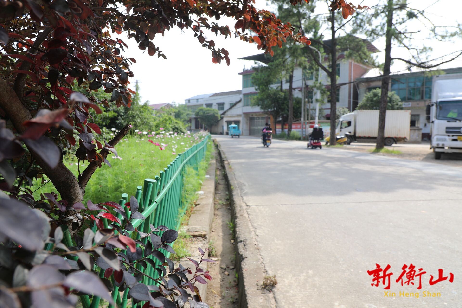 开云镇：东风路“颜值”焕新 为旅发大会添彩赋能