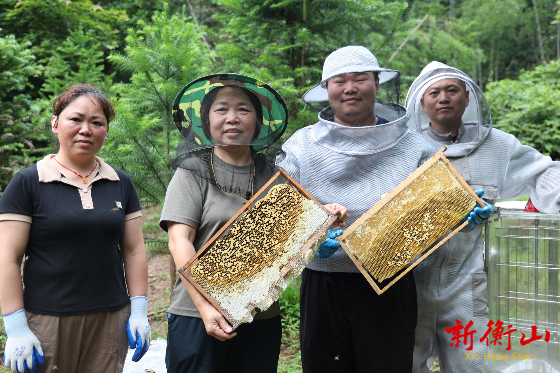 又到“蜂”收好时光  “蜜”酿乡村振兴忙