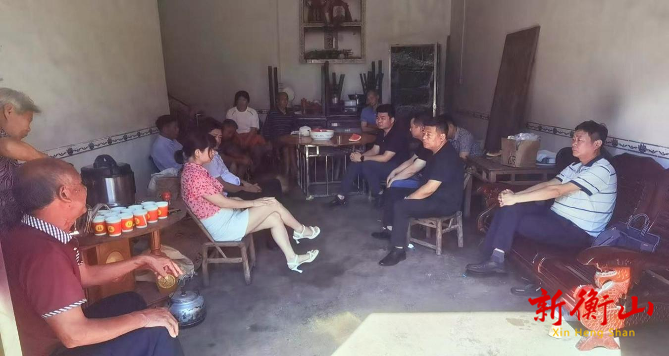 廿载纠葛终化解，法理溯源护民权 ——衡山县岭坡乡综治中心成功化解一起二十年土地纠纷