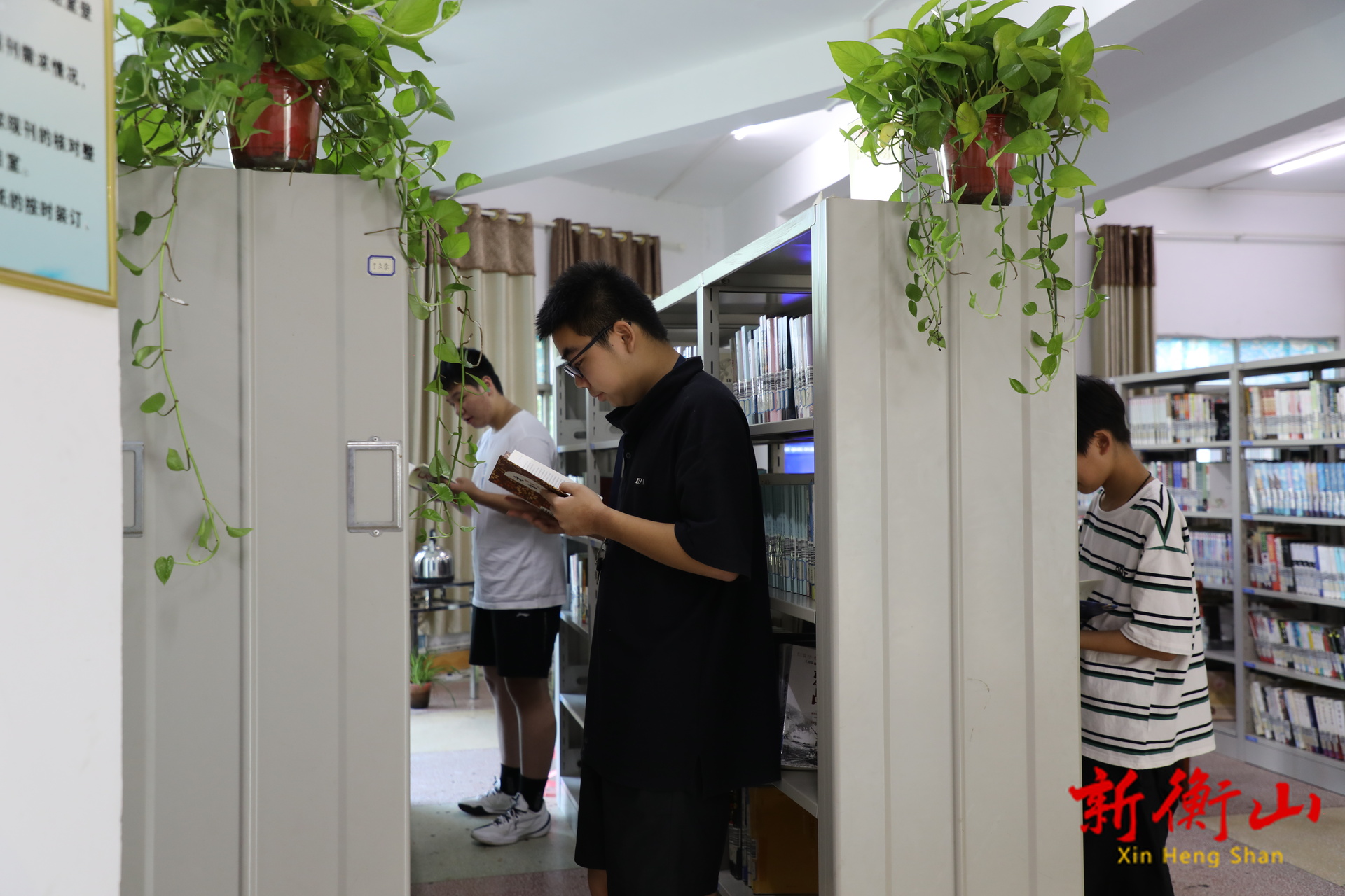 衡山图书馆：暑期焕新升级 打造“文化避暑”胜地