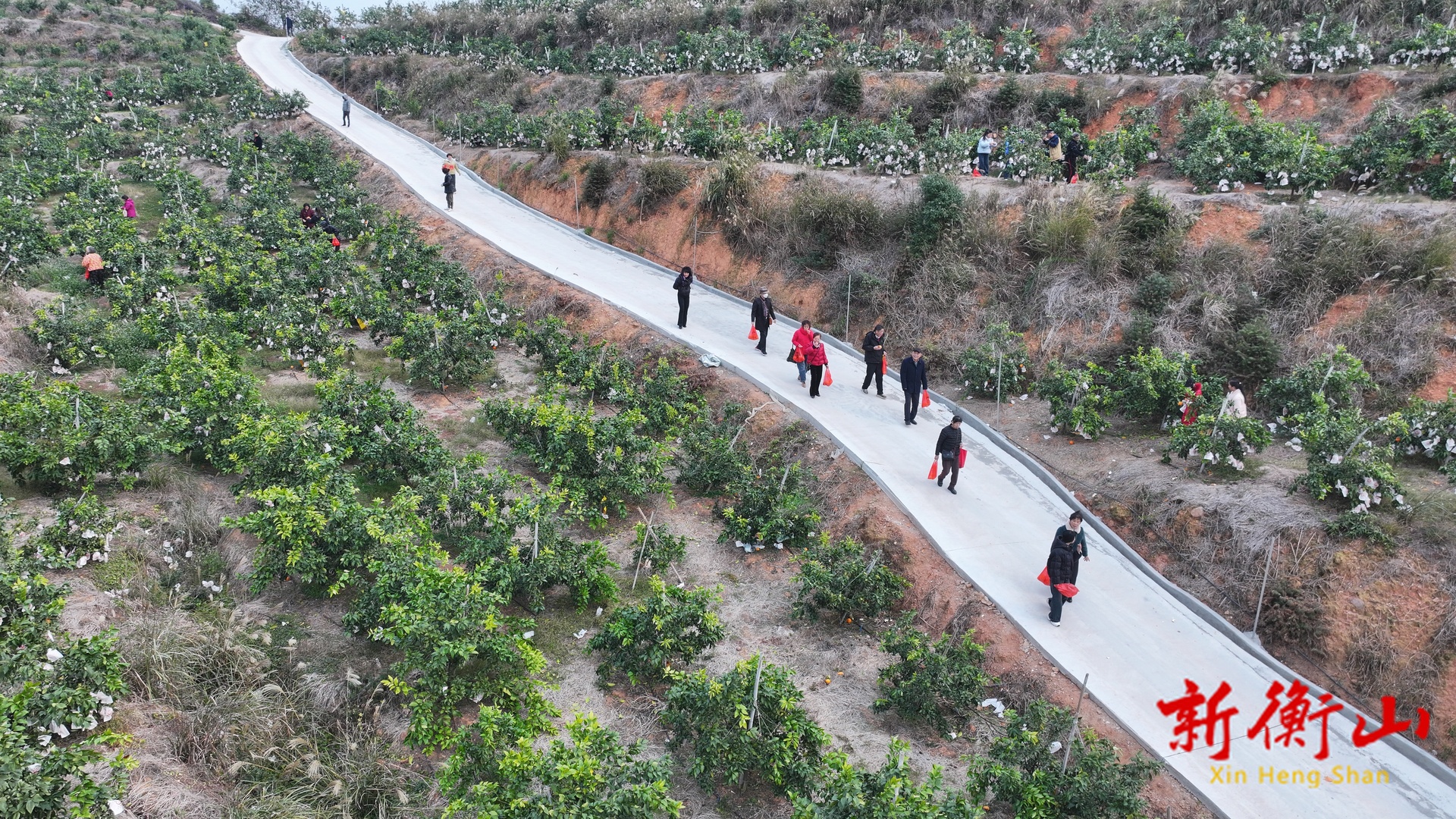 衡山：旅发大会红利持续释放 水果基地成冬季游“新宠”