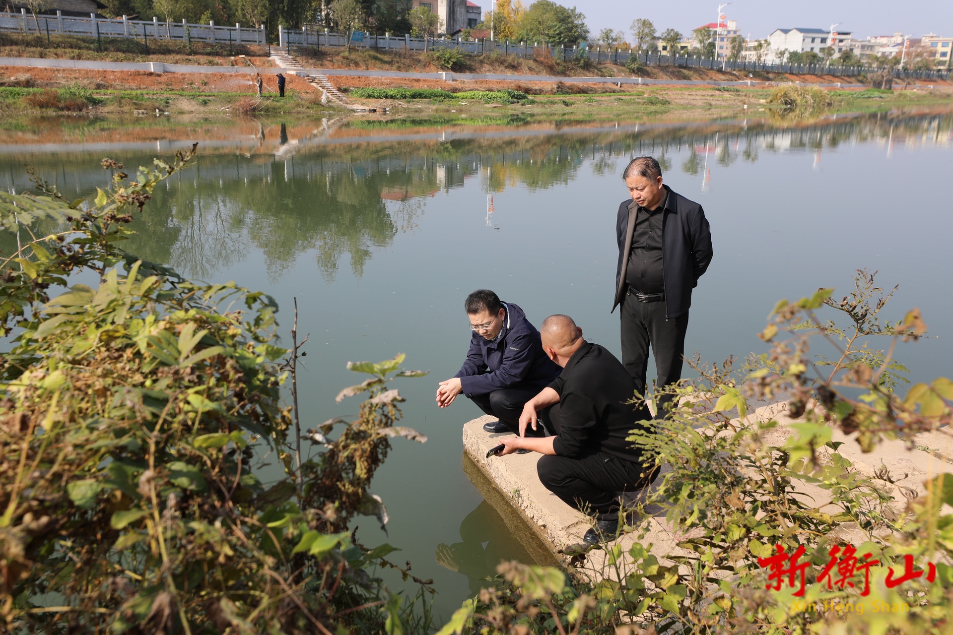 陈瑞来调研乡村振兴工作
