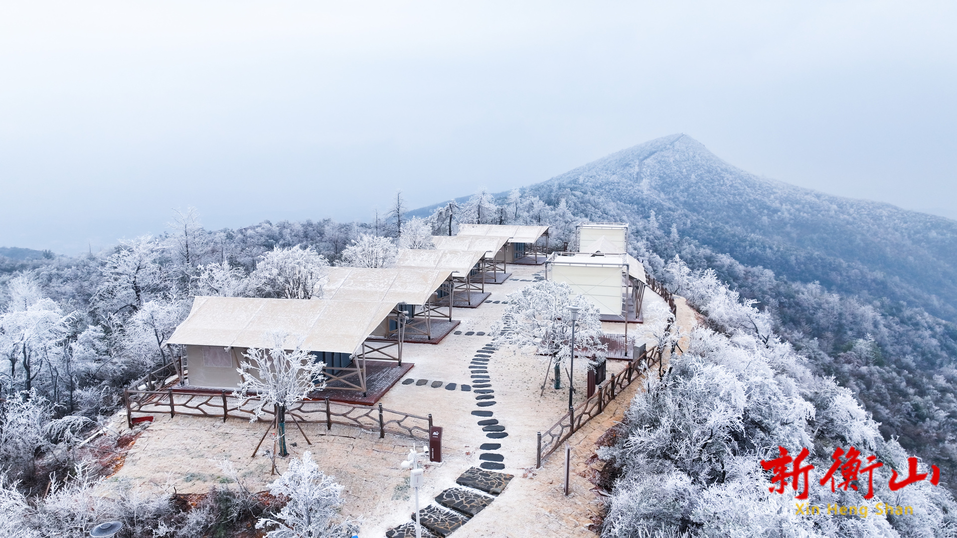 雾凇扮靓冬日 紫金山宛若童话世界