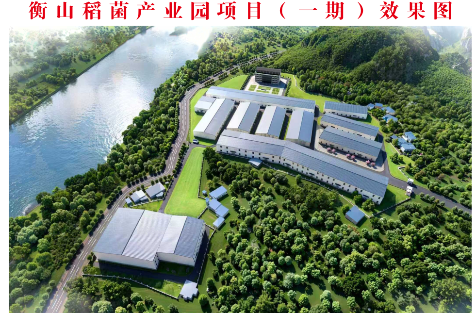 衡山稻菌产业园项目（一期）开工