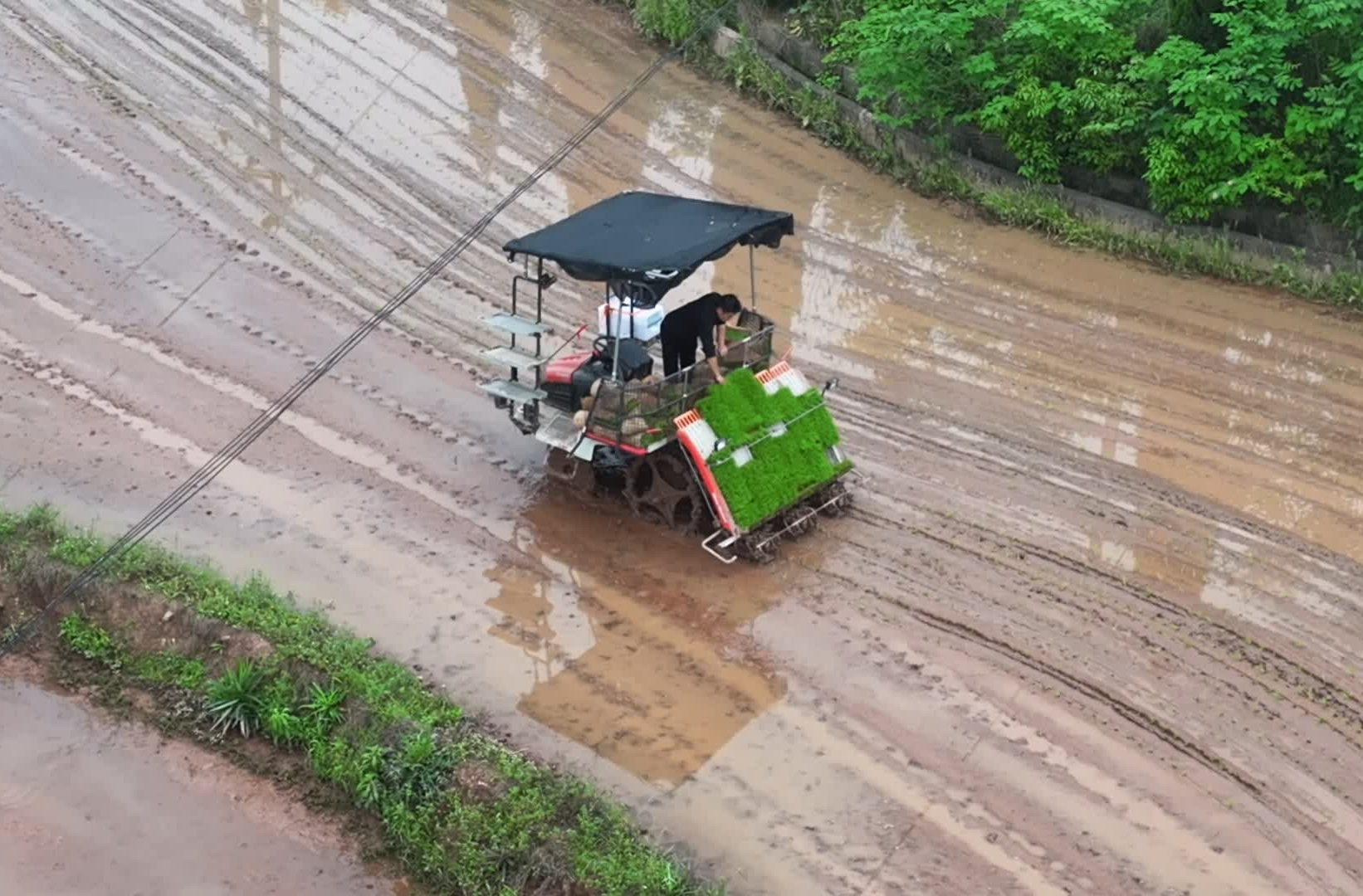 开局八好 乘势而上丨无人驾驶插秧机“上岗” 农民种粮更轻松