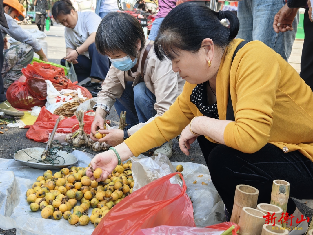 酸甜多汁！枇杷“抢鲜”上市
