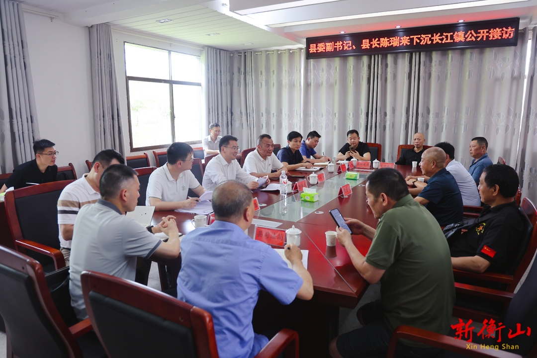 陈瑞来带队到长江镇下沉接访