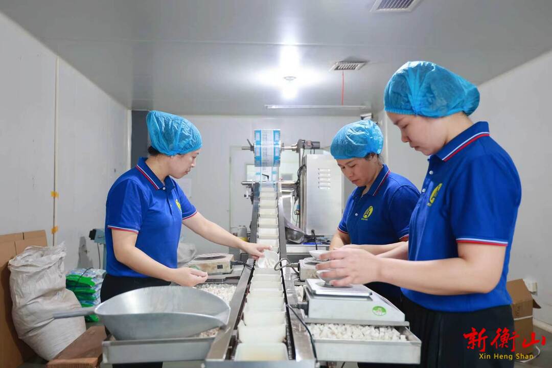陈瑞来赴轻工消费品企业开展走访服务