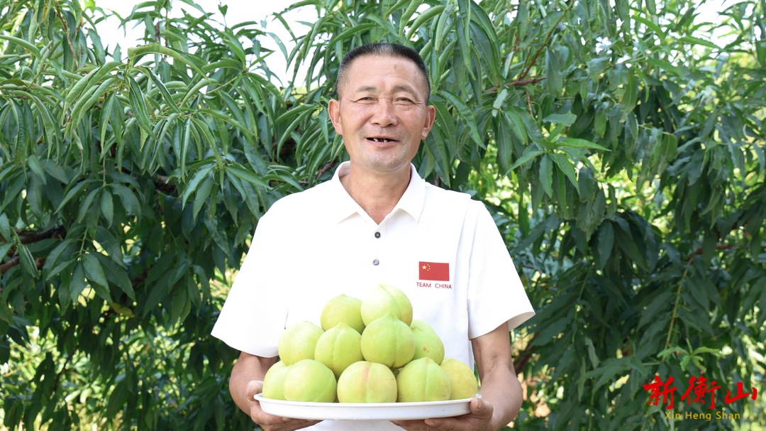 衡山县：个头大品相好 菁香桃“真香”