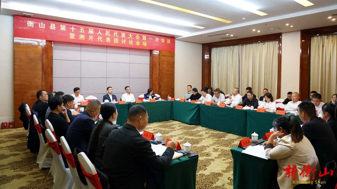 【聚焦两会】县人大代表分组审议县人民政府工作报告