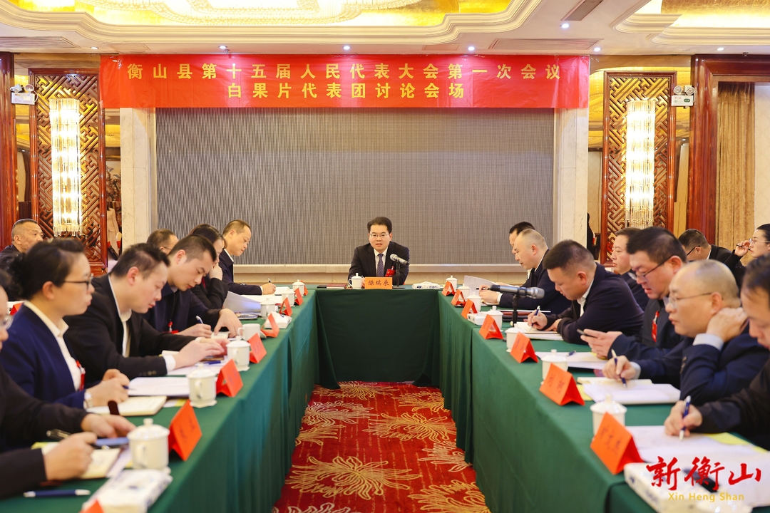 【聚焦两会】陈瑞来参加白果片区代表团讨论
