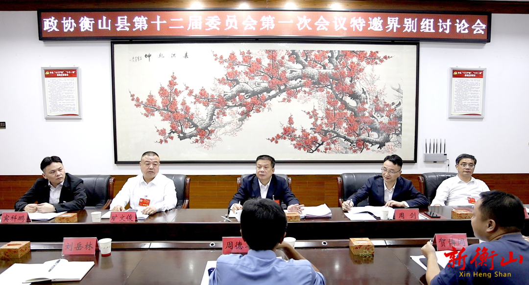 【聚焦两会】政协委员分组讨论政府工作报告