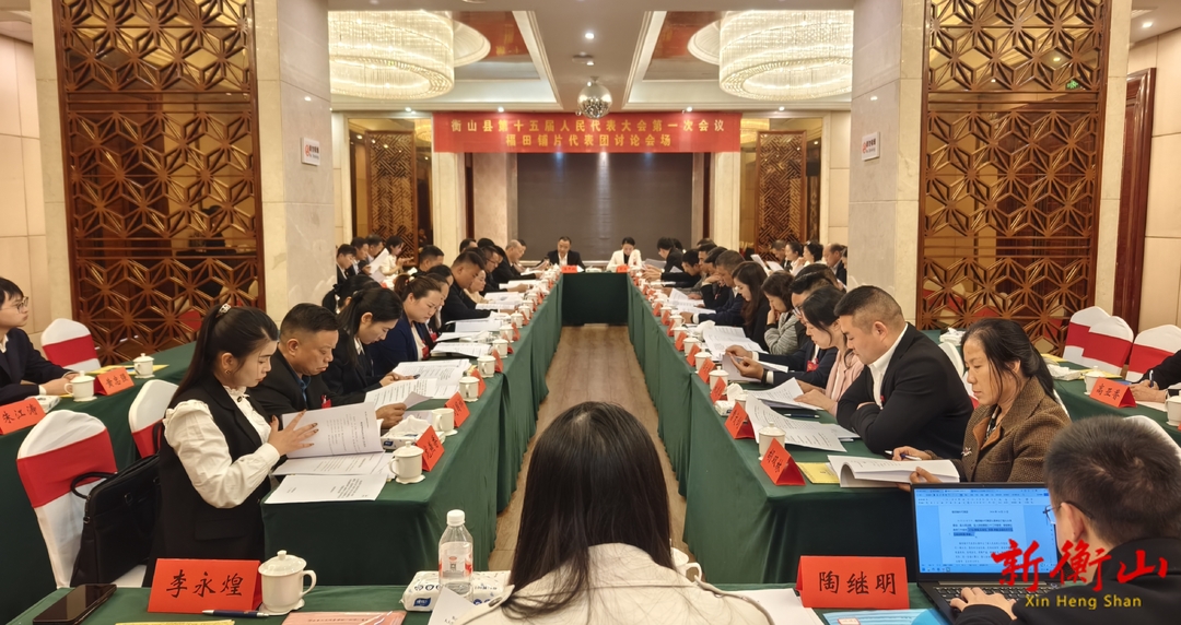 【聚焦两会】县人大代表分组审议县人大常委会、县人民法院、县人民检察院工作报告