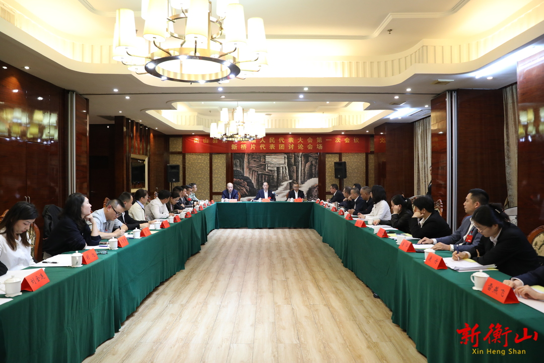 【聚焦两会】李一帆参加新桥片区代表团讨论