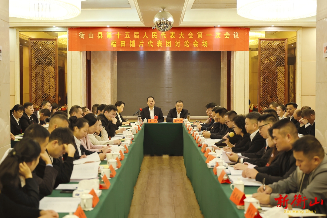 【聚焦两会】李一帆参加福田铺片区代表团讨论